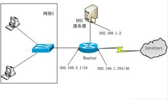计算机网络练习十一 应用层服务与协议